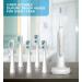Sonic Electric Toothbrush for Adults with 5 Replacement Heads, 3 Modes & Timer | Rechargeable Travel Toothbrush - White - Buy Online on GoSupps.com