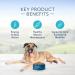 Blue Buffalo Life Protection Formula Senior Dog Food & Sensitive Stomach Natural Adult Dry Cat Food Chicken and Brown Rice 6.8kg bag - Buy Online on GoSupps.com