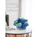 BAZIMA DIY Felt Flower Art Craft Kit - Blue Rose Pot Bonsai Kit for Beginners - Buy Online on GoSupps.com