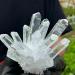 for White Cluster Quartz Crystal Specimen Point gem PINGJIUYIN Crystal Cluster 1pc White - Buy Online on GoSupps.com