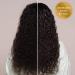 100% Pure Organic Moroccan Argan Hair Oil - Luxurious Non-Greasy Treatment for Dry Damaged Hair Growth Serum | 1.7 FL oz - Buy Online on GoSupps.com