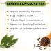 Tea4U Clove Flavored Black Tea Bags - Authentic Ceylon Tea - Buy Online on GoSupps.com