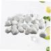 SKISUNO Makeup Cotton Balls 400pcs Cotton Balls Cottonballs Lint Balls Cosmetic Balls Disposable Cotton Ball Medium Pompom - Buy Online on GoSupps.com