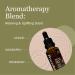 Hydrating & Anti-Aging Face Oil with 10 Natural Oils .Vegan Facial Oil for Glowing Skin & Gua Sha Massage (30 ml / 1 fl oz) - Buy Online on GoSupps.com