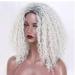 SHIYID Gray White Afro Kinky Curly Women Wigs Fluffy African American Synthetic Wigs for Women