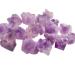 100g Natural Raw Stone Crystal Amethyst Irregular Rock Purple for Specimen Collection Garden Decor Gift Stone Mineral Specimen 1-2cm Purple