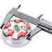 Flamingo Bird Green Leaf Round Pill Box | 3 Compartment Portable Travel Organizer for Vitamins & Medications - Buy Online on GoSupps.com