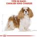 Royal Canin Cavalier King Charles Adult Dry Dog Food 1.5kg (Pack of 2) - Buy Online on GoSupps.com