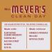 Mrs. MEYER'S CLEAN DAY Liquid Hand Soap 2 Pack Variety 12.5 OZ Each 1 CT (Apple Cider + Fall Leaves) - Buy Online on GoSupps.com