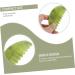 Gradeneve Jade Comb - Handcrafted Body Massage & Scalp Scratching Tool for Relaxation | Premium Jade Massage Device - Buy Online on GoSupps.com