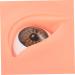 Hemoton 1 pair Eye Practice Eyeshadow Training Boards Makeup Skin Model Silicone Models Eyebrow 7.70X5.70X1.50CM As Shown - Buy Online on GoSupps.com
