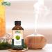  ORGANIC ZING Organic Zing Calamus Oil | Pure & Natural Essential Oil for Skincare Hair Care & Massage - 30ml/30ml - Buy Online on GoSupps.com