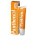 Panthenol Lip Cream Hydrates and Protects Lips From Dryness Leaves Lips Soft and Smooth 0.34 Fl oz