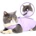 Dotoner Katzenbody f r die postoperative Genesung | Anti-Trolley Katzenkleidung | E-Halsband Alternative f r Katzen und Hunde (M Lila) - Buy Online on GoSupps.com