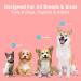 Pack of 4 Finger Toothbrushes for Dogs - Dental Care for Small Medium & Large Breeds - Buy Online on GoSupps.com
