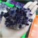 Natural Amethyst Cluster raw Stones geode Reiki Quartz Crystal Minerals Gemstone Remove Negative Home Goods - Buy Online on GoSupps.com
