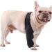 BESPORTBLE Dog Knee Pet Injury Knee Knee for Dogs Dog Hindleg Cover Dog Injured Leg Cover Dog Leg Cover Dog Supplies Puppy Brace Puppy Leg Cover Dog Leg Brace S As Shown - Buy Online on GoSupps.com