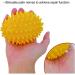 Hand Therapy Ball - Finger Exerciser & Grip Strengthener for Arthritis & Elderly - Buy Online on GoSupps.com