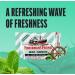 Fisherman s Friend Sugar Free Mint | For Temporary Relief of Cough Sore Throat & Nasal Congestion | 24 Packs of 22 Lozenges (528 Total Count) - Buy Online on GoSupps.com