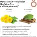 TziBrew Original Recipe Organic Dandelion & Burdock Root Coffee Alternative - 50+ Servings, Caffeine, Dairy & Gluten Free (160g) - Buy Online on GoSupps.com