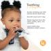 BooginHead Pacifier Clip & Natural Wood Baby Teether - Blue Feather | Eco-Friendly Infant Teething Toy - Buy Online on GoSupps.com