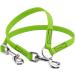 BioThane Dual Dog Coupling Leash - 0.3m Apple Green Selectable Width | Durable & Stylish for Safe Walks - Buy Online on GoSupps.com