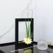 Floral Arranging Vase Set: Black Rectangle Photo Frame Shaped Plastic Ikebana Vases with Flower Frog - Ideal for Ikebana Floral Art Home Decor - Buy Online on GoSupps.com