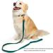 YUDOTE Ultra-Soft Natural Cotton Dog Collar for Large Dogs with Sensitive Skin - Green L (1 Pack) - Buy Online on GoSupps.com