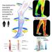 Healsox Anti-Edema Compression Socks - Tourmaline Self-Heating & Magnetic Foot Massage Therapy (3 Pairs) for Weight Loss & Health - International Shipping Available - Buy Online on GoSupps.com