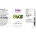 Buy NOW Essential Oils Camphor Oil - 100% Pure Aromatherapy Vegan Child Resistant Cap - 1 oz - Buy Online on GoSupps.com