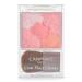 CANMAKE Glow Fleur Cheeks  02  Apricot Fleur