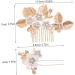 SKISUNO 1 Set Leaves and Flowers Hair Comb Wedding Hairpin Hair Accessories for Women Bridal Headpiece Bride Headdress Wedding Hair Comb Hair Combs for Women Accessories Flower Hair Pin - Buy Online on GoSupps.com