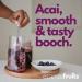 Instant Acai Kombucha On-The-Go Drink Mix | Probiotic & Prebiotic with Vitamin C | No Added Sugar | Clean Label | Makes 20-30 cups | 8 oz (226g) - Buy Online on GoSupps.com
