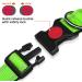 Taglory Extra Large Dog Collar - Soft Padded Neoprene Nylon Adjustable & Reflective for Training Green - Ideal for Large Breeds - Buy Online on GoSupps.com