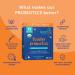 LoveBug Toddler Probiotics & Prebiotics - Daily Digestive Support for Kids 12 Mos - 4 Yrs | 30 Stick Packs - Buy Online on GoSupps.com