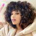 AISI HAIR Afro Curly Wig with Bangs Highlights Dark Brown Shoulder Length Wig for Black Women Synthetic Kinky Curly Full Wigs for Daily
