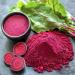AKNA Organic Beet Powder 2 Pack 1 Pound Resealable Bags - Buy Online on GoSupps.com