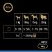 CESAR Senior 10+ Deliciously Fresh Wet Dog Food Pouches Aged Dogs Mixed Selection in Jelly Suitable for Senior Dogs Aged 10+ Pack of 4 (4 x 12 Pouches x 100 g) - Buy Online on GoSupps.com