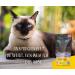 Josera Fillet Chicken with Calf (16 x 70g) - Cereal-Free Super Premium Wet Food for Adult Cats - Buy Online on GoSupps.com