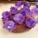 Natural Crystal Rough Specimen Natural Amethysts Crystal Stones Reiki Fish Tank Home Decoration FengshuiStone Crystal (Size : 100G) - Buy Online on GoSupps.com