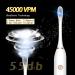 Apartment 2 Cards 2 Pack Sonic Electric Toothbrush - 6 Modes, 42000vpm, IPX7 Waterproof, 8 Brush Heads - Black+White - Buy Online on GoSupps.com