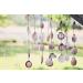 8085pcs Mixed Sea Shells for Beach Theme Party Decorations & DIY Crafts - Buy Online on GoSupps.com