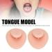 Soft Silicone Tongue Model for Piercing Practice | Flexible Reusable & Portable Display - Buy Online on GoSupps.com