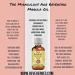 Pure Marula Oil 100ml - Cold Pressed Sclerocarya Birrea | International Shipping - d ve herbes - Buy Online on GoSupps.com