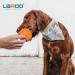 Buy Laroo Durable Natural Rubber Dog Ball - Squeaker Toy for Small & Large Dogs - 6.5cm Orange - Buy Online on GoSupps.com