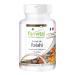 Fairvital | Reishi Extract 500mg - 30% Polysaccharides - Ganoderma lucidum - 90 Pcs - Vegan
