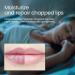IZBEAUVO Lip Collagen Lip Repair Lip Mask Intensive Moisturising Lip Balm Lip Conditioner Overnight Lip Balm Long Lasting Moisturizing Lip Care Cream For Dry & Chapped Lips & Repairs Cracks - Buy Online on GoSupps.com
