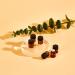 100Pcs Mini Amber Glass Essential Oil Sample Bottles - Refillable 1ml Brown Perfume Bottles for Travel - Perfect for DIY and Aromatherapy - Buy Online on GoSupps.com