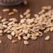 Bio Sunflower Seeds Maxipack 5 kg - Premium Quality Untreated Salt-Free | S ssundclever.de | Eco-Friendly Packaging - Buy Online on GoSupps.com