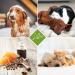 Lillis Naturals Dog Shampoo with Natural Herbs - 500ml for Skin & Coat Care | International Shipping - Buy Online on GoSupps.com